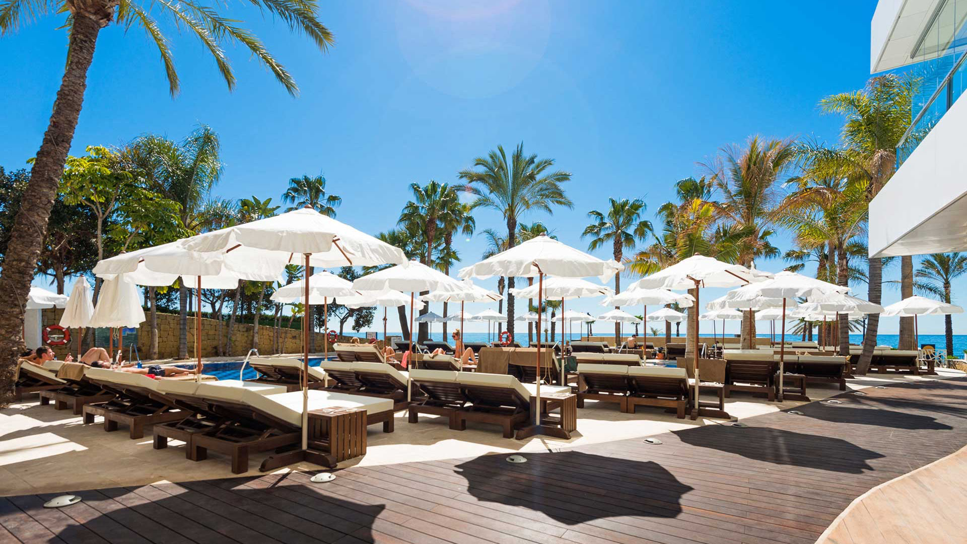 New beach Clubs in Marbella